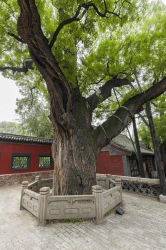 太原景点排行榜(太原必去景点)插图8