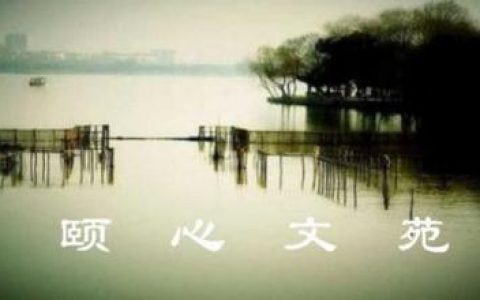 凤凰于飞简谱(凤凰于飞吉他谱)