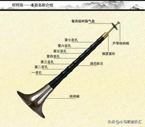 十大乐器排行榜二胡(重庆乐器店二胡价格)插图7