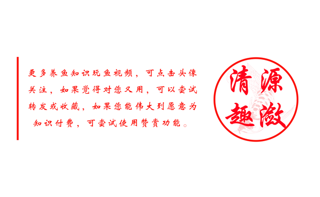 养鱼用品品牌排名前十(观赏鱼饲料十大品牌)插图4