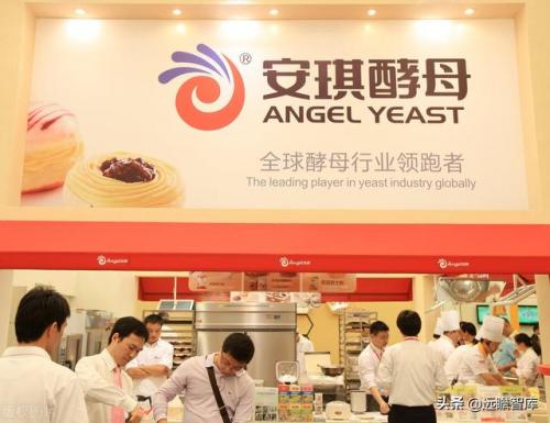 十大酵母粉品牌排行榜(发酵粉哪个品牌比较好)插图