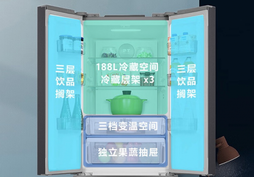 中国冰箱品牌排行榜前十名(十大公认最好用的冰箱)插图8