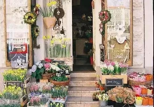 想开花店(新手怎么开花店)插图5
