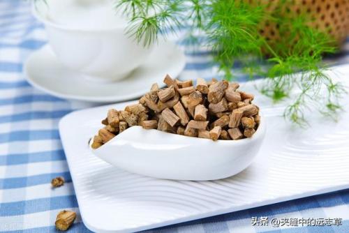 桑寄生的功效与作用及食用方法(钩藤的功效与作用)插图7