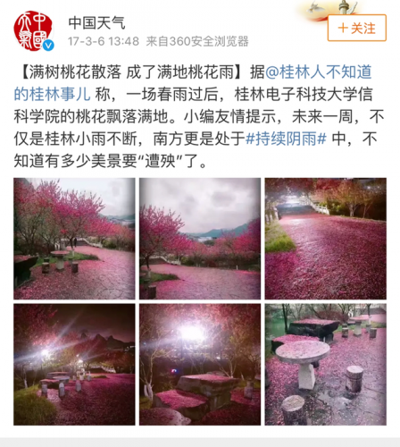 高校校花排行榜图片(全国高校女神排行榜)插图35
