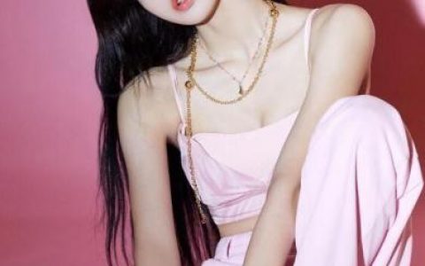 韩国明星粉丝排行榜(韩国明星粉丝最多的是谁)