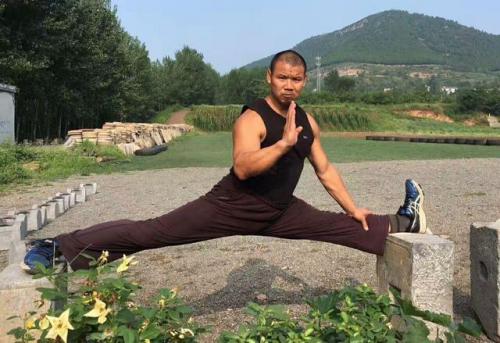 功夫实战水平排名前十(中国功夫实战有用吗)插图2