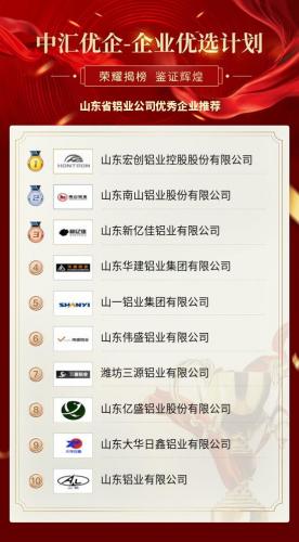 山东铝业排行榜(中国铝业排名前十)插图1