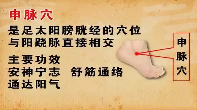 奇经八脉(十二正经走向图)插图5