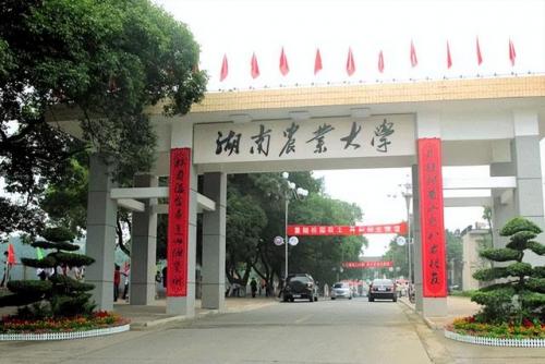 湖南学校排行榜(长沙专科学校排名榜)插图3