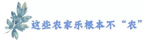 三圣乡农家乐推荐排行榜(三圣乡十大网红农家乐)插图4