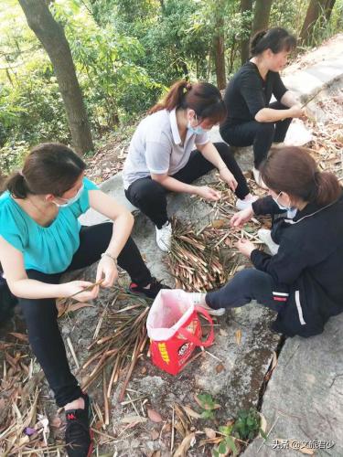 东莞马山仙境(马山仙境2019年要门票吗)插图15