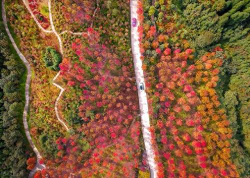 德阳十大旅游景点排行榜(德阳十八个网红打卡地)插图21