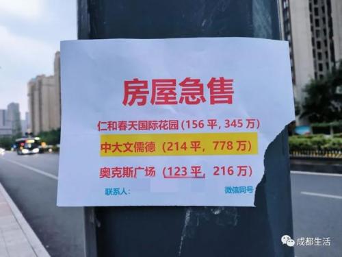 成都简约豪宅排名前十(成都最贵豪宅)插图28