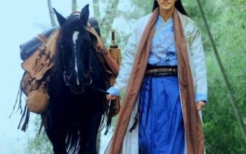 传统武侠小说排行榜(网络十大巅峰武侠小说)