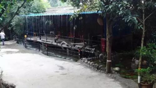 乐山婚庆酒楼排名前十(乐山上档次的中餐酒楼)插图20