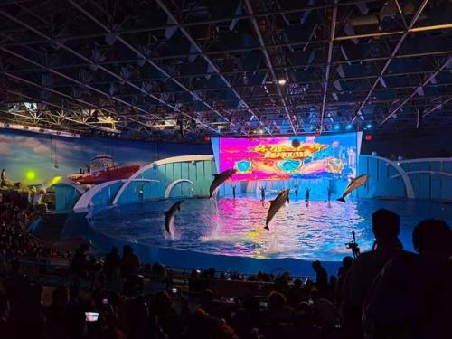 青岛极地海洋世界攻略(中国海洋馆排名前十)插图1