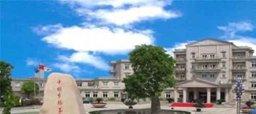 中国十大有钱村排行榜最新(全国十大富裕村排行榜)插图3