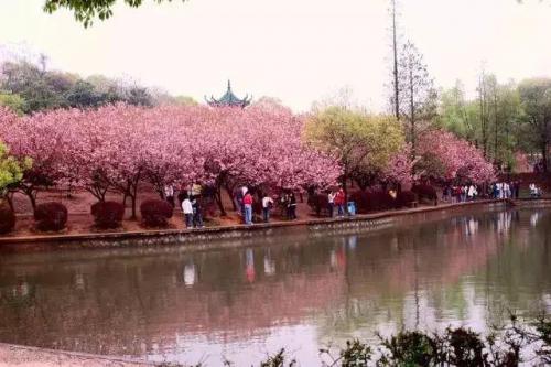 长沙高校校花排名前十(长沙校花)插图18