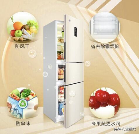 中国品牌冰箱排行榜(中国冰箱老牌子有哪些)插图7