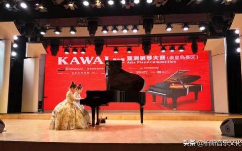 曲靖钢琴歌手排名前十(云南曲靖35岁歌手)