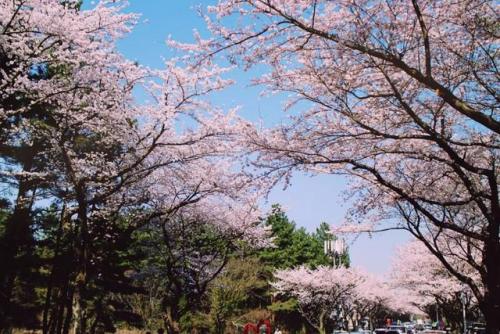 长沙高校校花排名前十(长沙校花)插图20