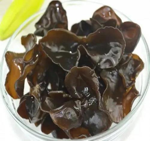 最新的蘑菇排名前十(十大最贵蘑菇)插图1