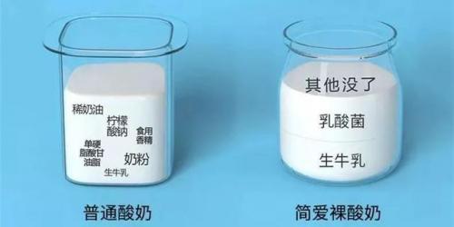 酸奶发酵剂排行榜(家用酸奶发酵剂怎么用)插图7