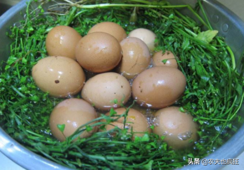 3月3荠菜煮鸡蛋(荠菜和鸡蛋一起煮有什么作用)插图4