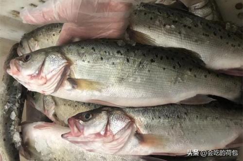 含硒最高的食物排行榜(含硒食品排名一览表)插图3