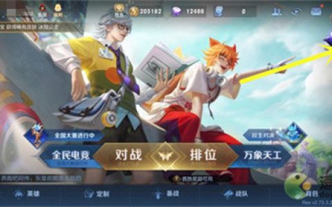王者荣耀皮肤礼品卡在哪里购买(苹果礼品卡可以充值王者荣耀吗)