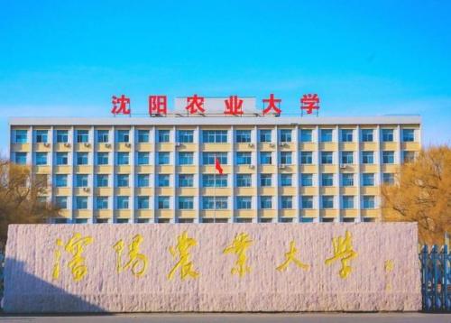 沈阳学校排行榜(沈阳技校有哪些学校)插图4