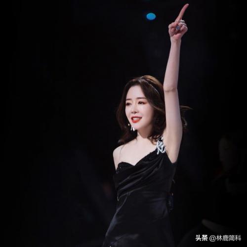 超级女生排行榜(超女最成功的是谁)插图3