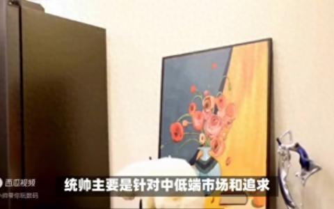 海尔统帅和海尔(海尔统帅和海尔品牌有什么区别)