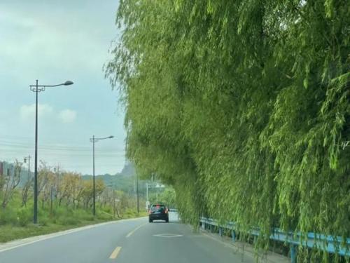 广东高尔夫餐厅排名前十(风神高尔夫会所餐厅怎么样)插图34