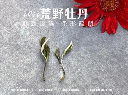 福鼎地下室防水排名前十(乳山地下室防水哪家好)插图6