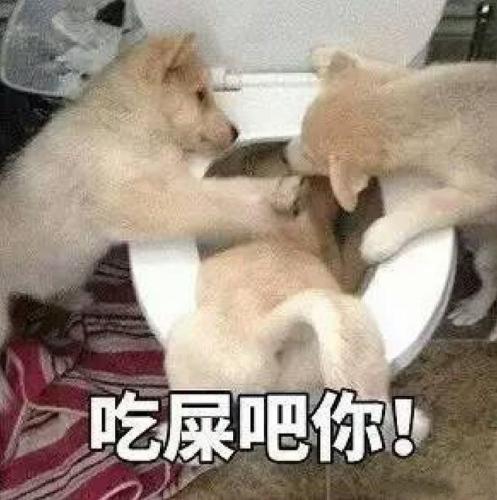 微博笑话排行榜(顶级笑话100个爆笑段子)插图30