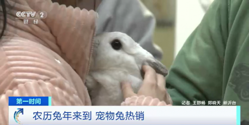 新沂宠物医生排名前十(新沂心理医生)插图