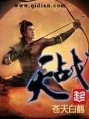 2010小说排行榜(2010至2016年网络小说)插图3