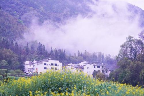 婺源必去景点排行榜(婺源最好玩的景点)插图1