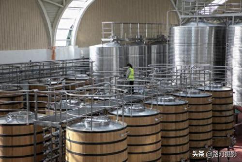 福建品质葡萄酒排名前十(精酿葡萄酒排名前十名品牌)插图34