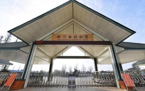 临沂景点人次排名前十(临沂必去的十大景区)