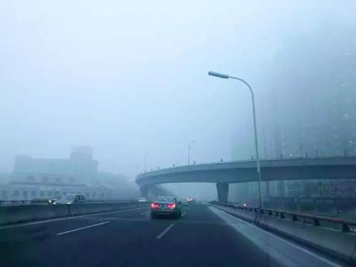哈尔滨单双号(哈尔滨有限号出行吗)插图3