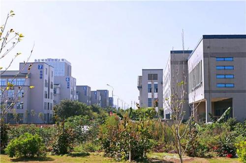 广西高考专科排名前十(广西学校排名大学)插图3