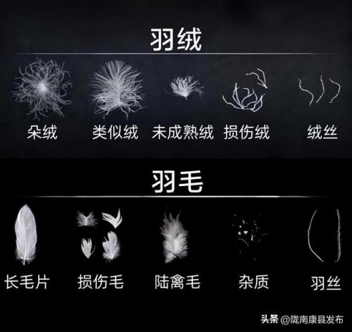 羽绒服十大品牌排行榜(中国10大羽绒服品牌)插图7