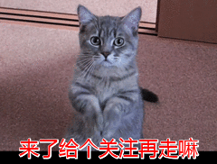 棒棒糖品牌排行榜(世界十大棒棒糖品牌)插图11