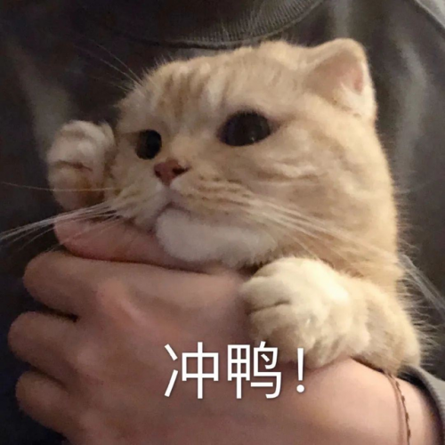 明星的尴尬瞬间(盘点尴尬瞬间)插图7