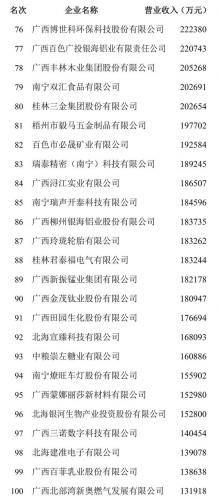 广西企业排行榜(广西本土企业)插图7