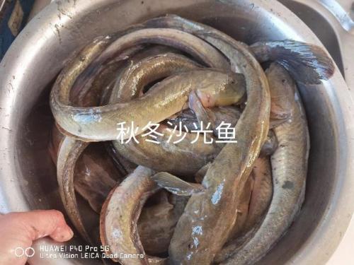 赣榆本地商家排名前十(赣榆信息港)插图18