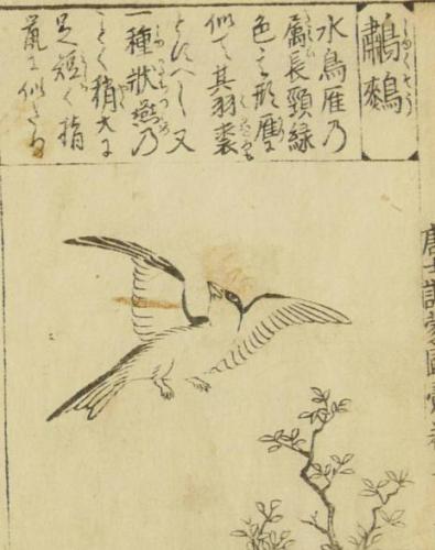 物理学书籍排行榜(物理学十大名著)插图9